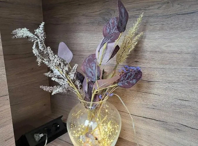 Amaya 公寓 瓦爾納