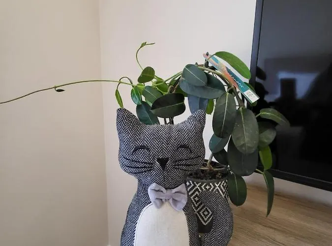 アパート Amaya *